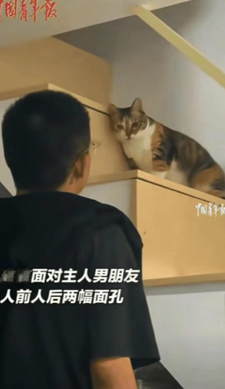 可没高兴多久，他转头跟女友说话的功夫，后背突然感觉“嗖嗖”的，像有东西在挥，吓得