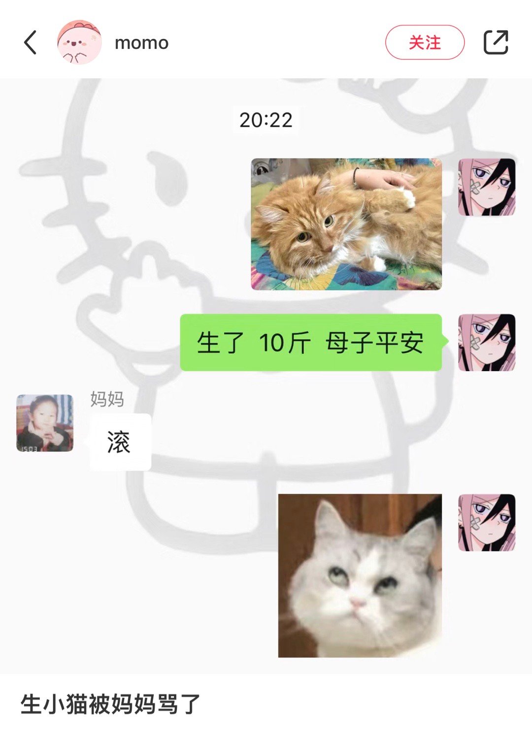 生小猫被妈妈骂了 ​​​