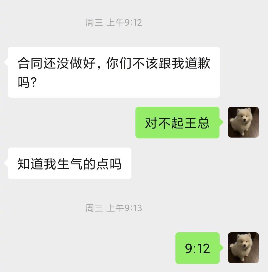 王总咋一直没理我 
