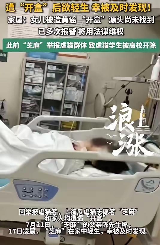 上海反虐猫志愿者"芝麻"在宠物群交流时，突遭大批人员涌入发送剥皮抽筋等血腥虐猫视