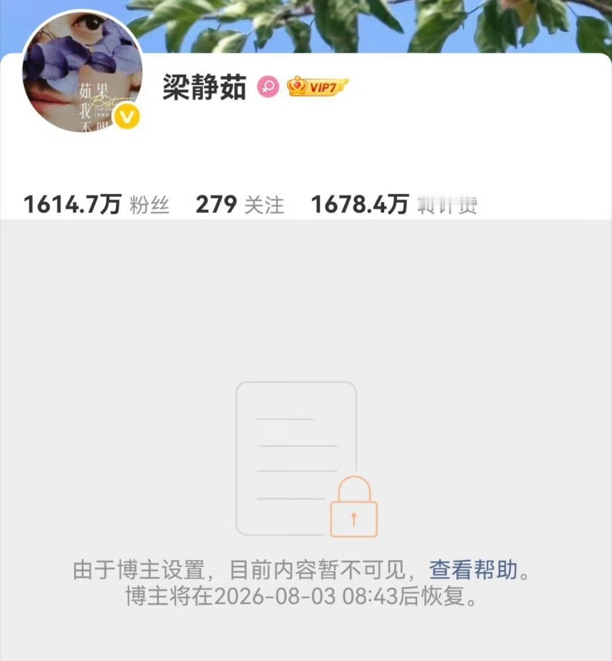 又怎么了我的大小姐
