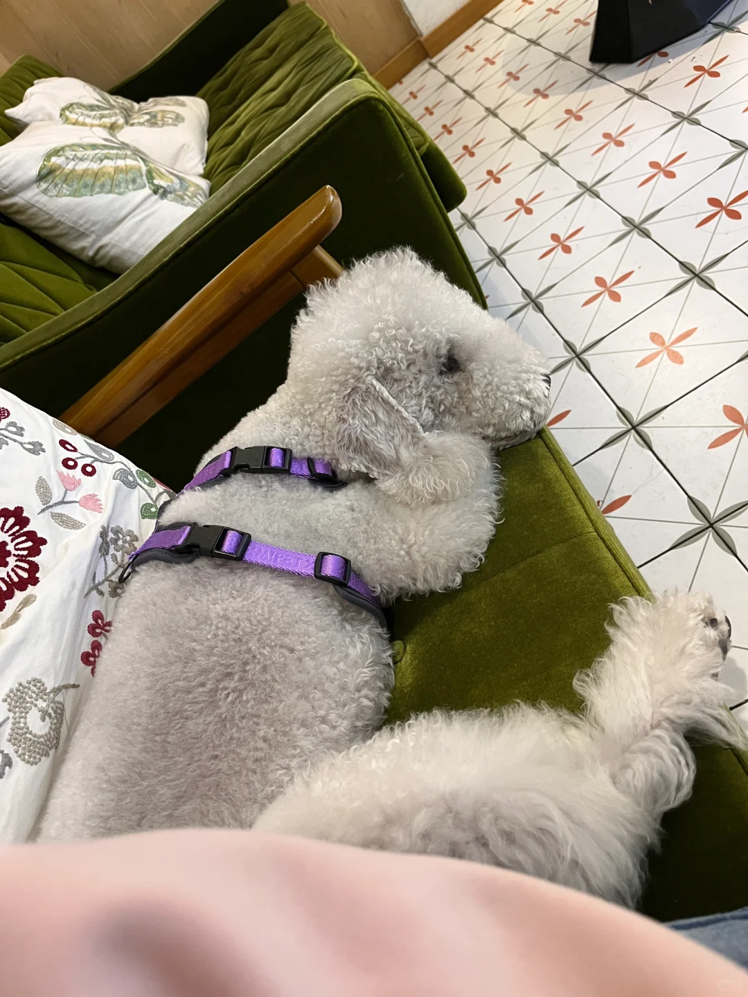 她的人生已经过半，再依恋一点也没关系。