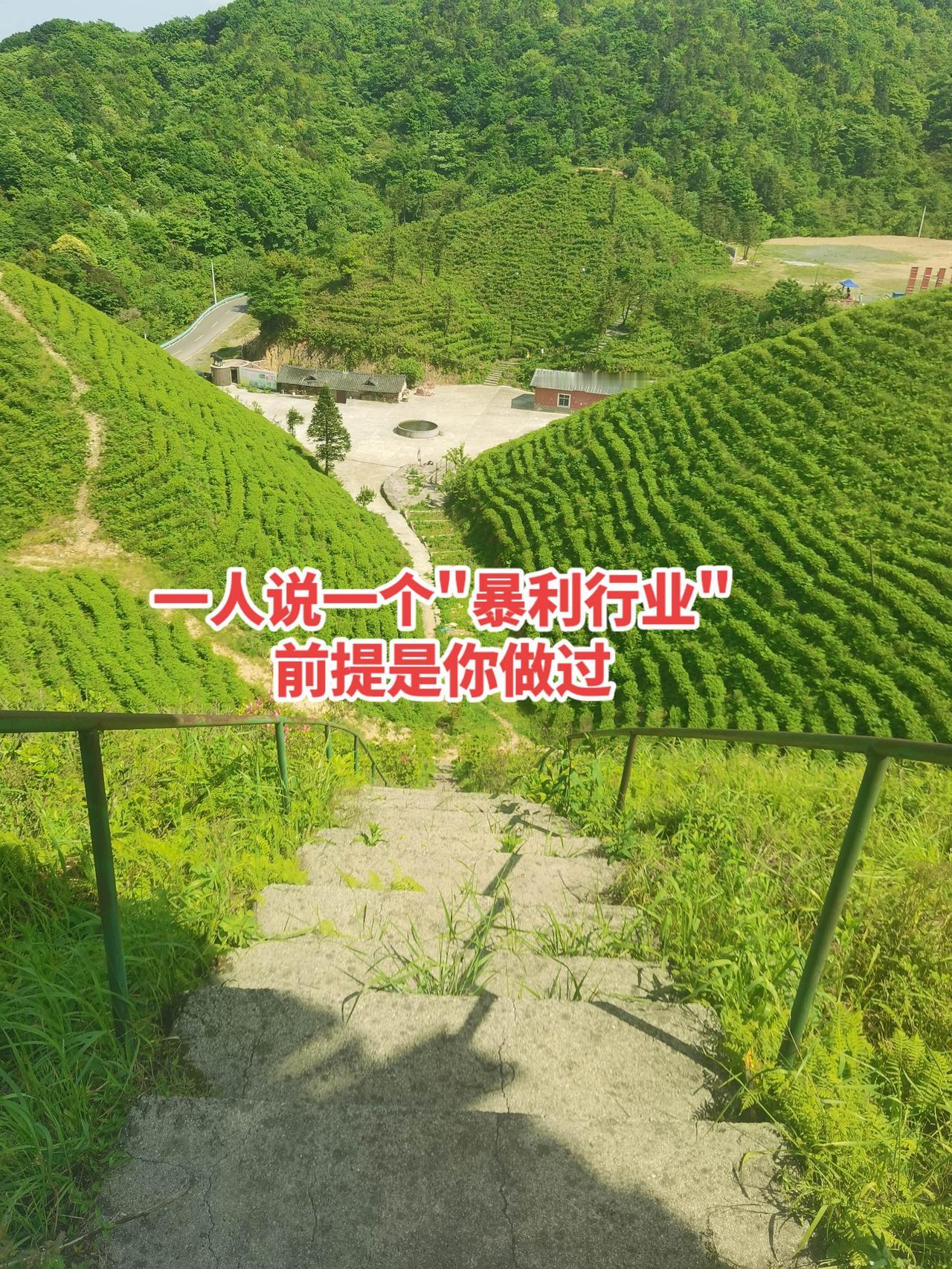 "医美""眼镜"怎么样？算不算暴利行业？抖音二创激励计划 暴利行业 讨论 暴利行