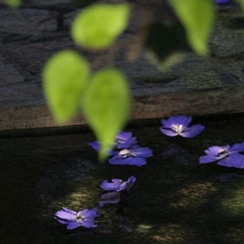 每日一善  每日一善   阳光信用 从晨光初照到夜幕低垂，辛勤耕耘，无暇他顾。古