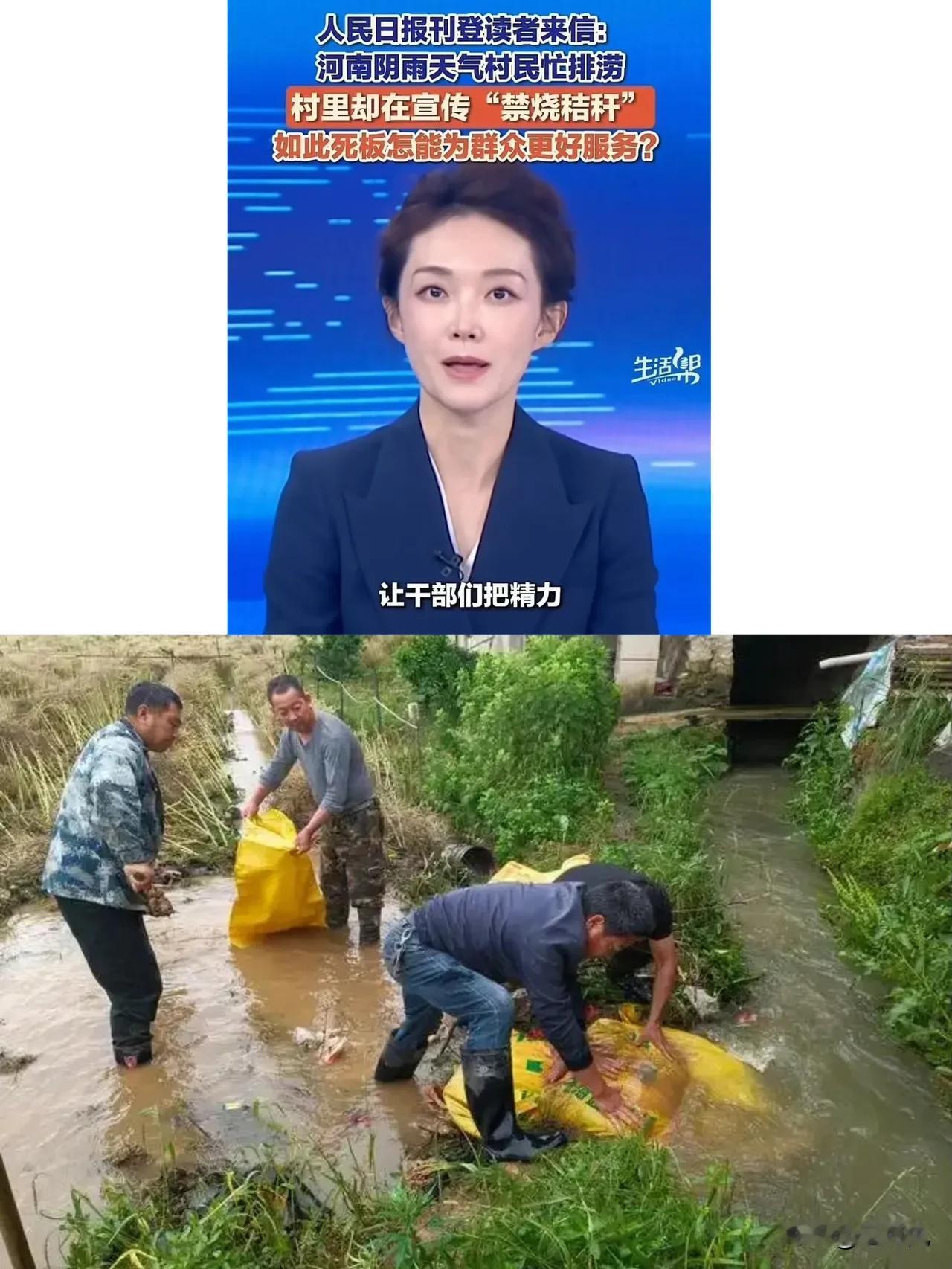 这样的形式，也太形式了吧？河南扶沟县一地，村民在踩着泥水抢收庄稼，村干部却像是履