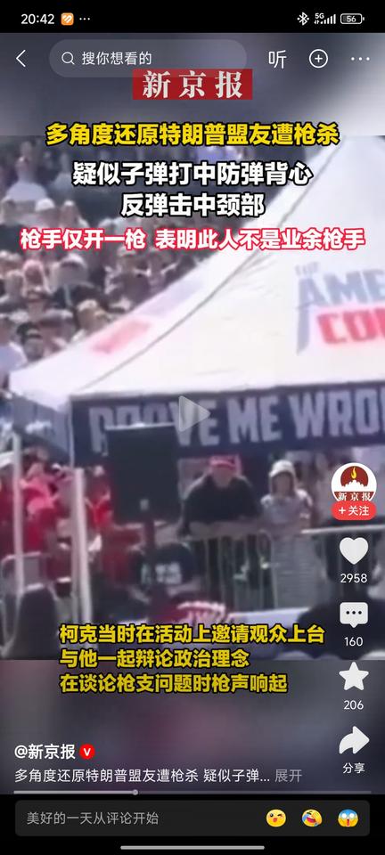 刺杀政敌，让所谓的西方民主彻底从神坛上掉了下来!
前几天德国七名选择党候选人两周