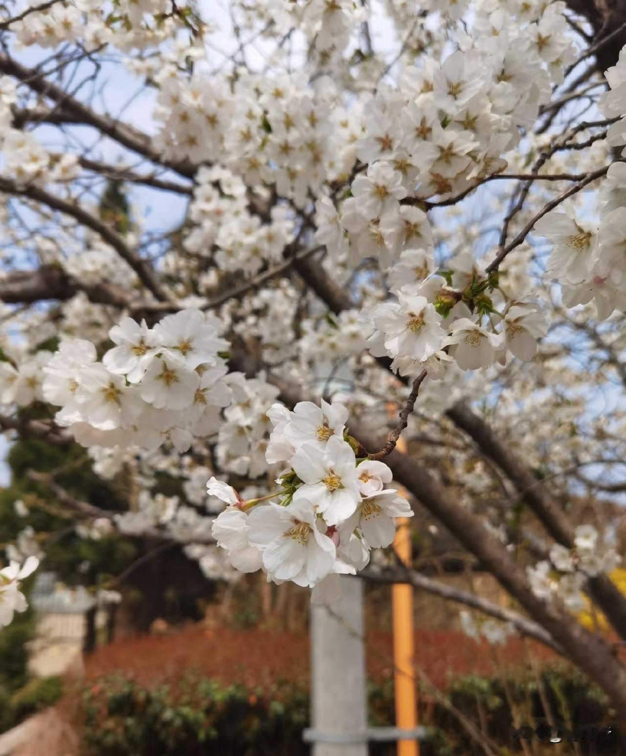 人这一辈子
最重要的从来不是名利财富
而是有个健康的身体
一颗安稳的心
几个真心