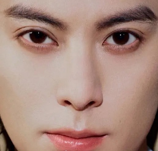 张凌赫和王鹤棣谁的五官更高级？ 