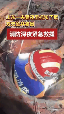 山东东营，一对夫妇雨后外出找知了猴，丈夫跟妻子分头找，结果妻子没有注意到绿化带内