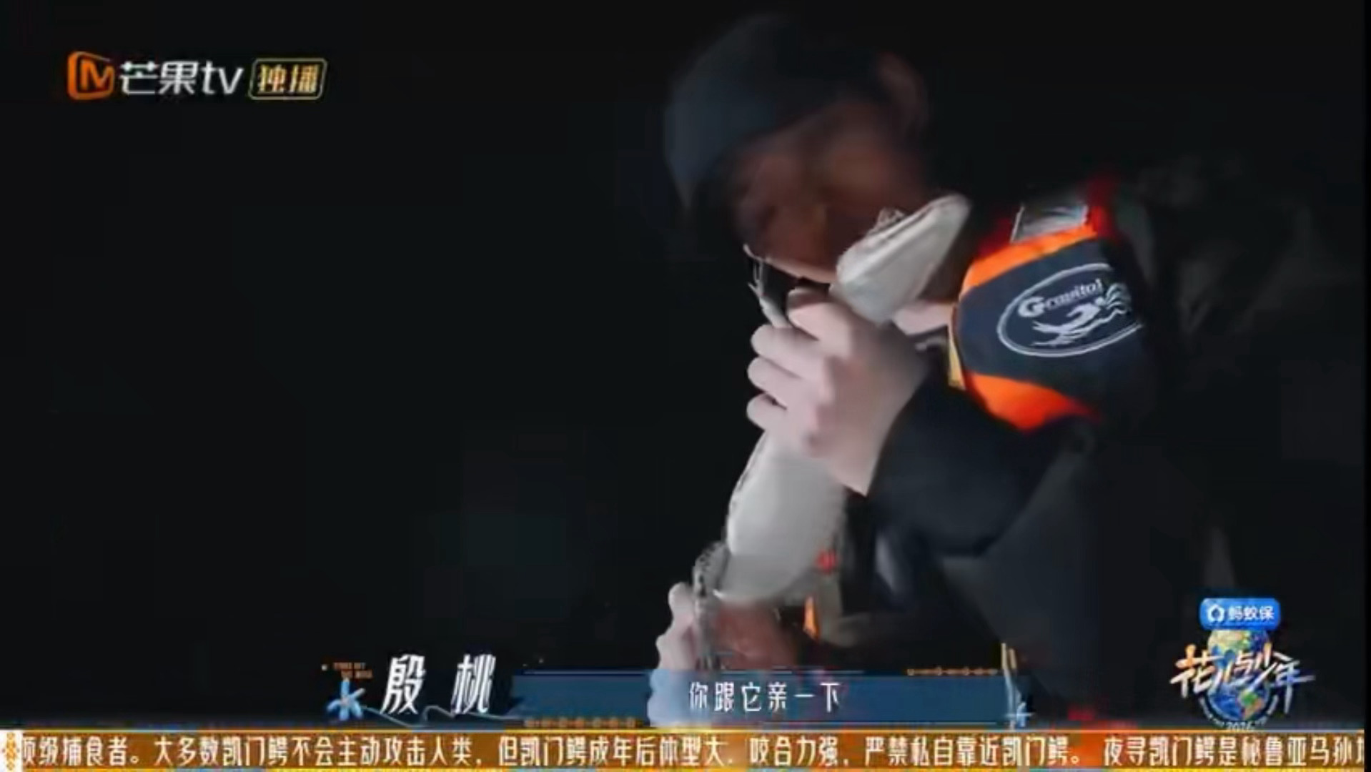 殷桃叫邓为和鳄鱼kiss 谁被邓为温柔到了！！手握鳄鱼稳如泰山，胆大值直接拉满?