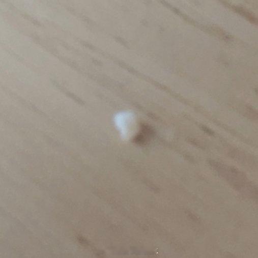 徐OK 11月的结尾 12月的开头不是很顺利超鬼王后的周六周天，去参加了朋友的婚