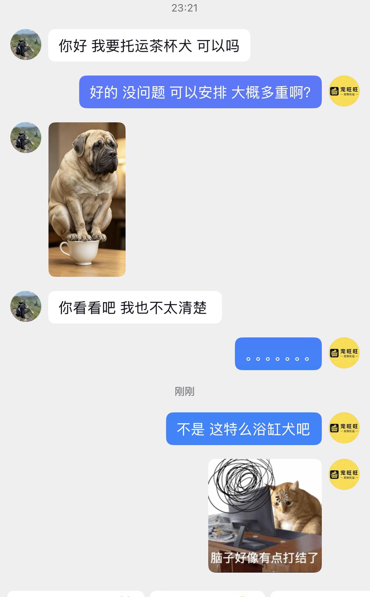 客户口中的茶杯犬，我眼里的浴缸巨兽……