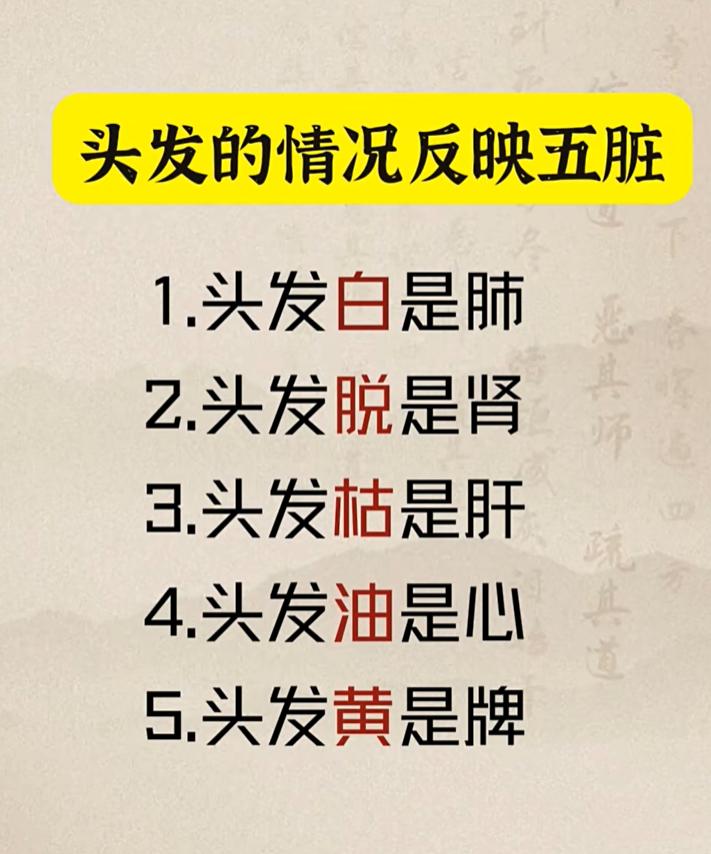 头发状态藏着五脏信号，对照自查