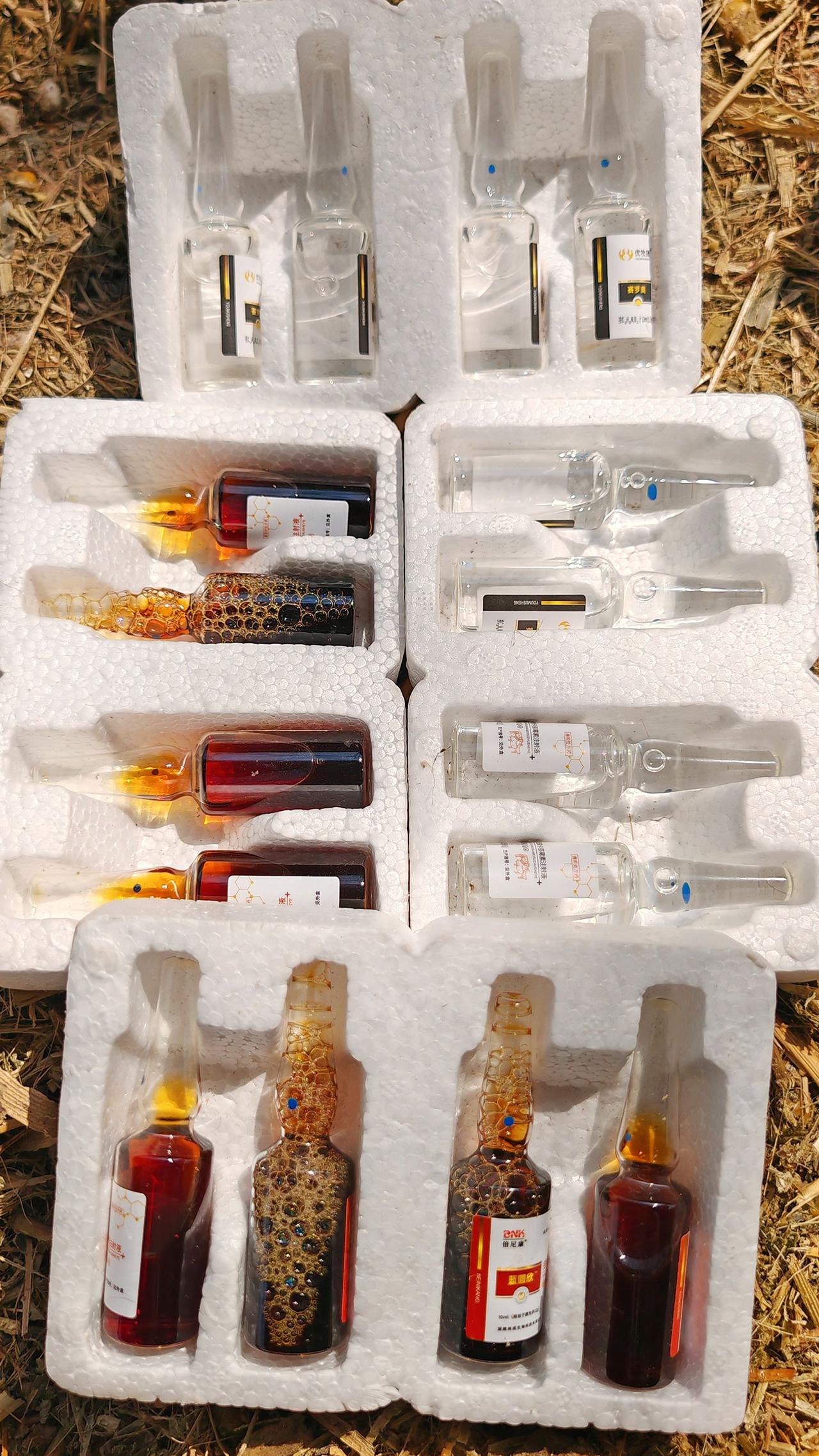 养羊人 农村养羊 牛羊养殖