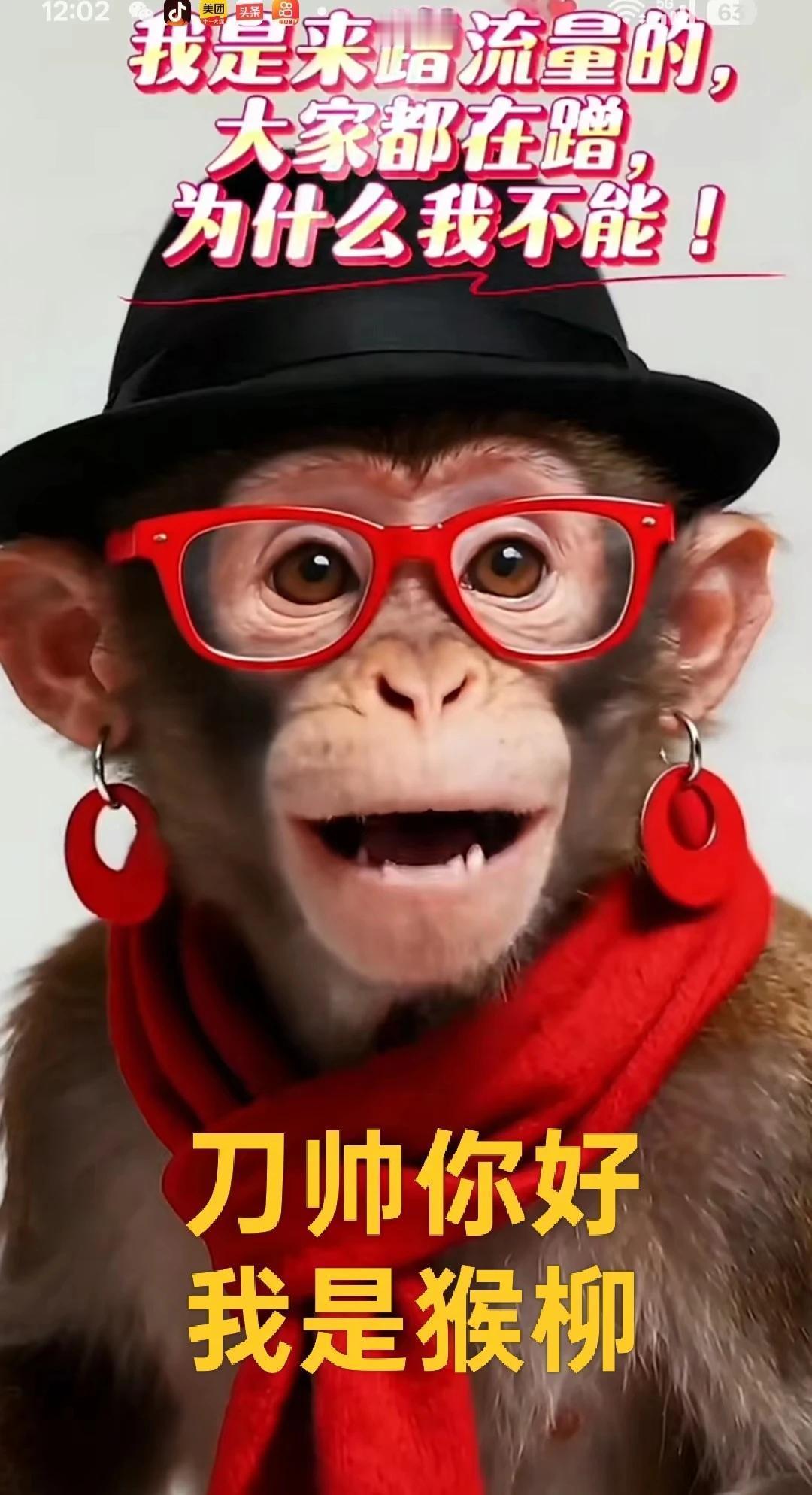 “刀帅你好，我是猴柳。我是来蹭流量的，大家都在蹭，为什么我不能！”——你蹭流量怎