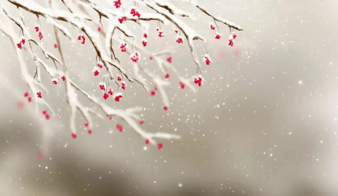 《立春日晨起对积雪》     唐·张九龄

忽对林亭雪，瑶华处处开。
今年迎气始