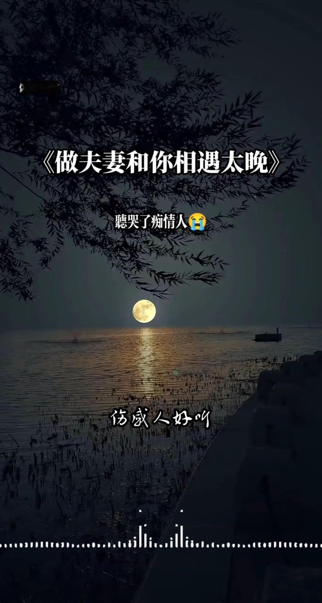 做夫妻和你相遇太晚，做朋友我心有不甘，想把你忘记多难…