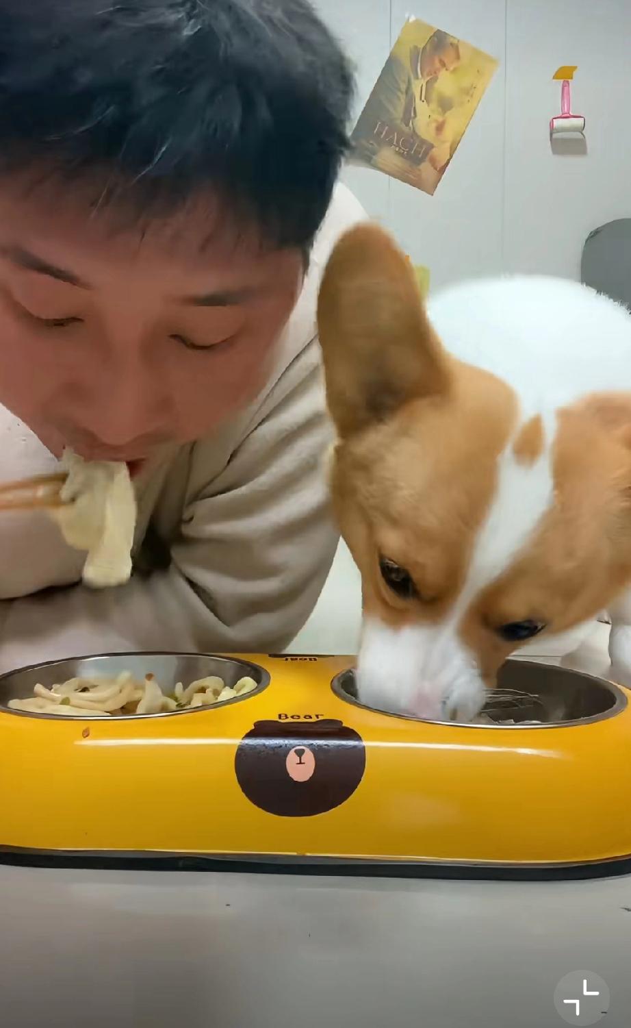恶心至极！主人抢狗食吃，筷子直接从狗嘴里掏！
狗狗正低头吃饭，主人直接拿筷子从狗