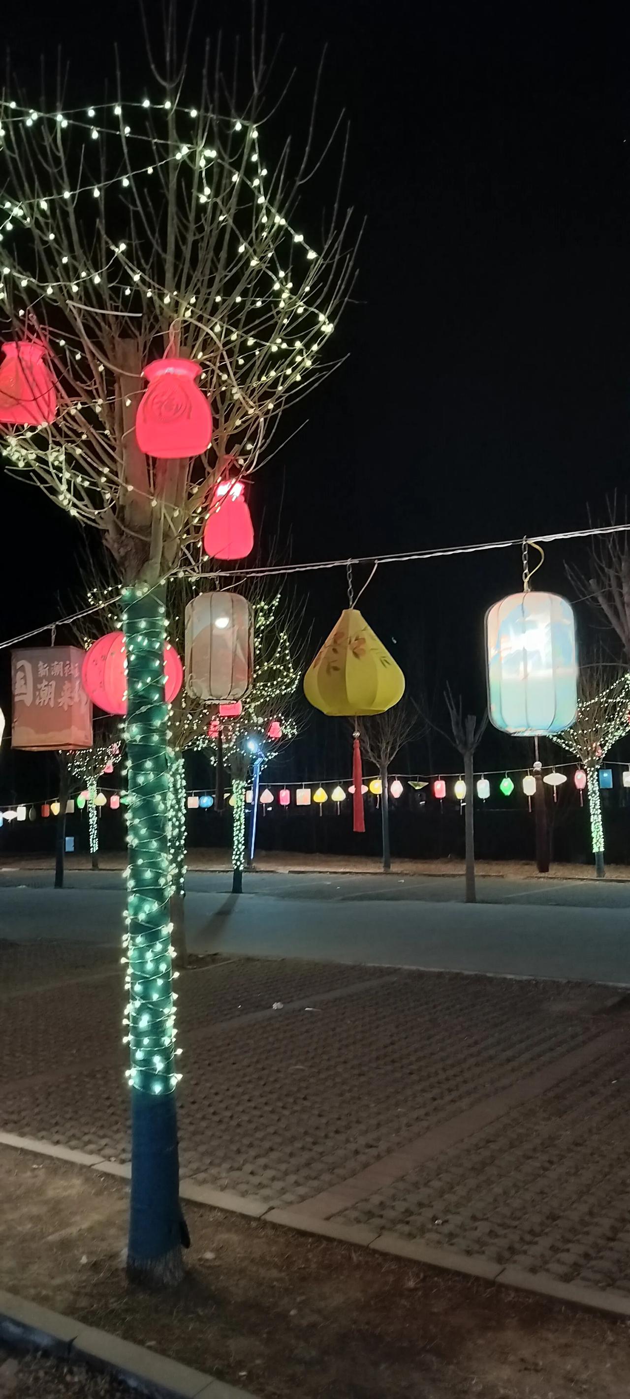 集卡领红包今天初二回娘家，然后下午带妈妈去了沧州铁狮子那，老人家可以免费进，不用