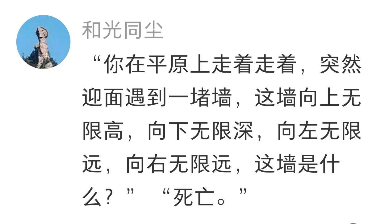 我将永远忠于文字 