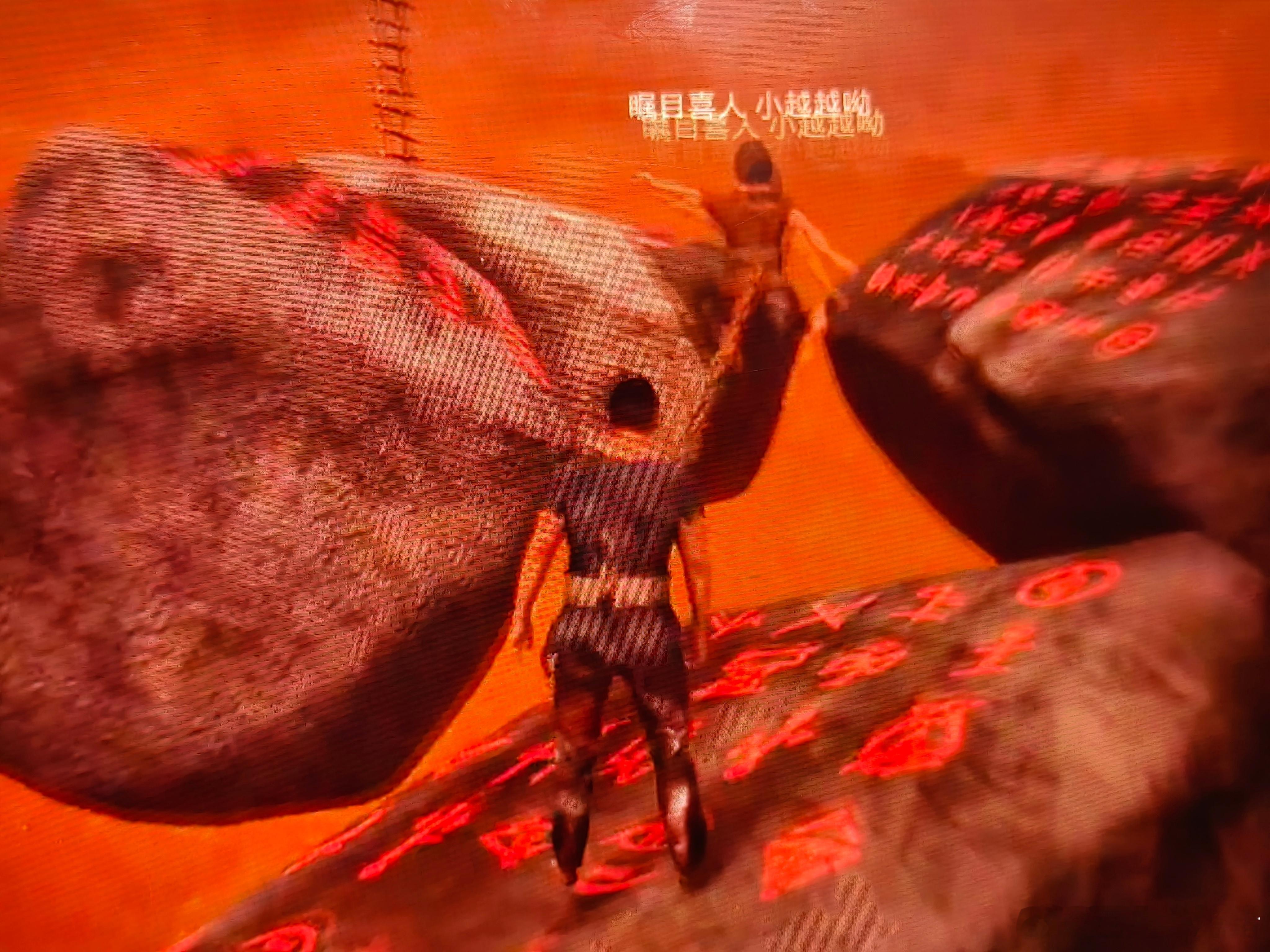 这个是绝命傻子星 