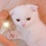 幽深爱聊科技