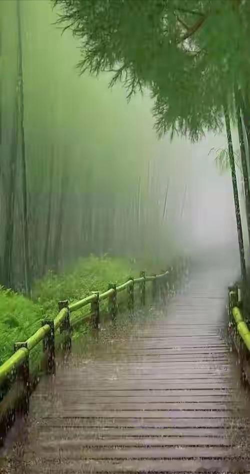 一林翠竹，十里清风～寻美中国寻美河南
