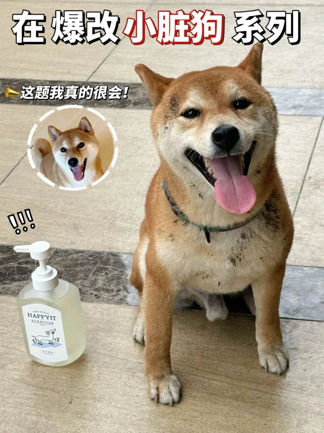 手动换狗我真的很会！小脏狗退退退！！！