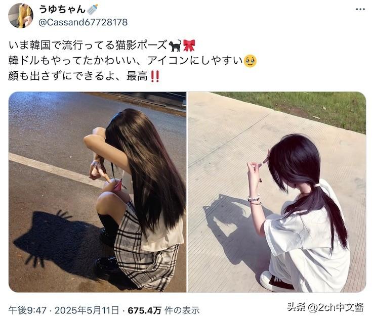 据说这是韩国流行的猫影游戏（X，Cassand67728178）
