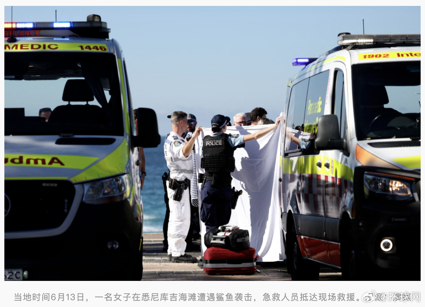 #悉尼一海滩发生鲨鱼袭人事件#【外媒：悉尼库吉海滩发生鲨鱼袭人事件，一名女子重伤