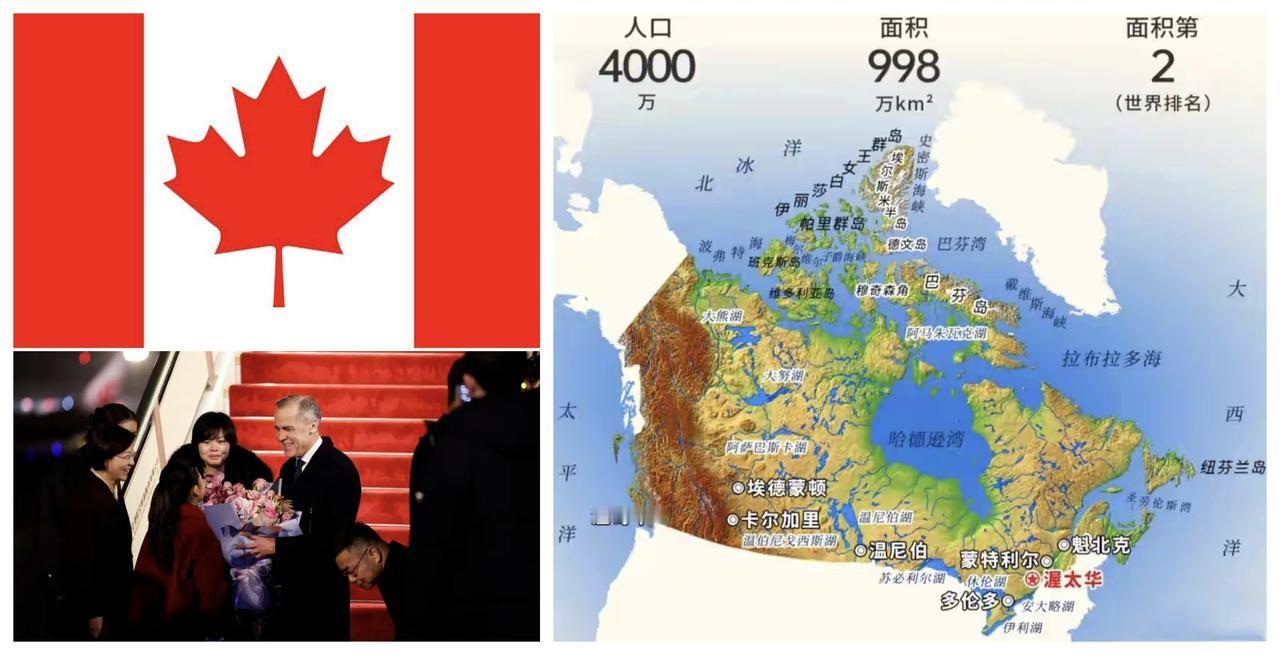 ✨中国和加拿大经济完全互补✨

——这次卡尼来访，简言之，就是跟中国谈经贸合作的