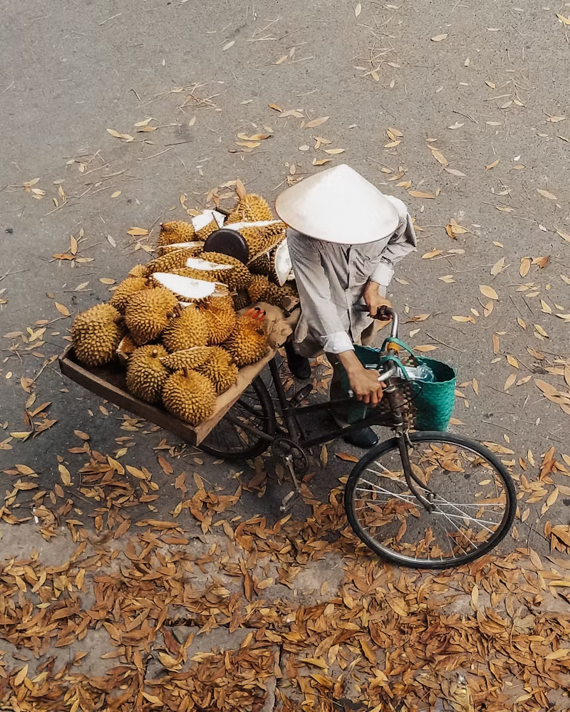 原来中医不让多吃水果是真的  啥东西吃多了都有害啊[笑cry]水果吃多了糖分和热