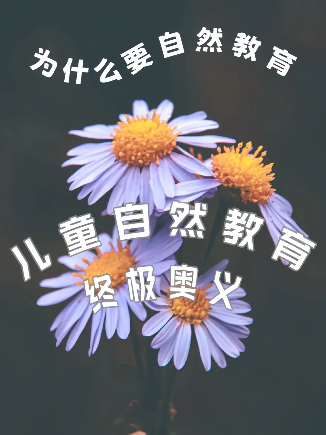什么是自然教育？为什么离不开它？
