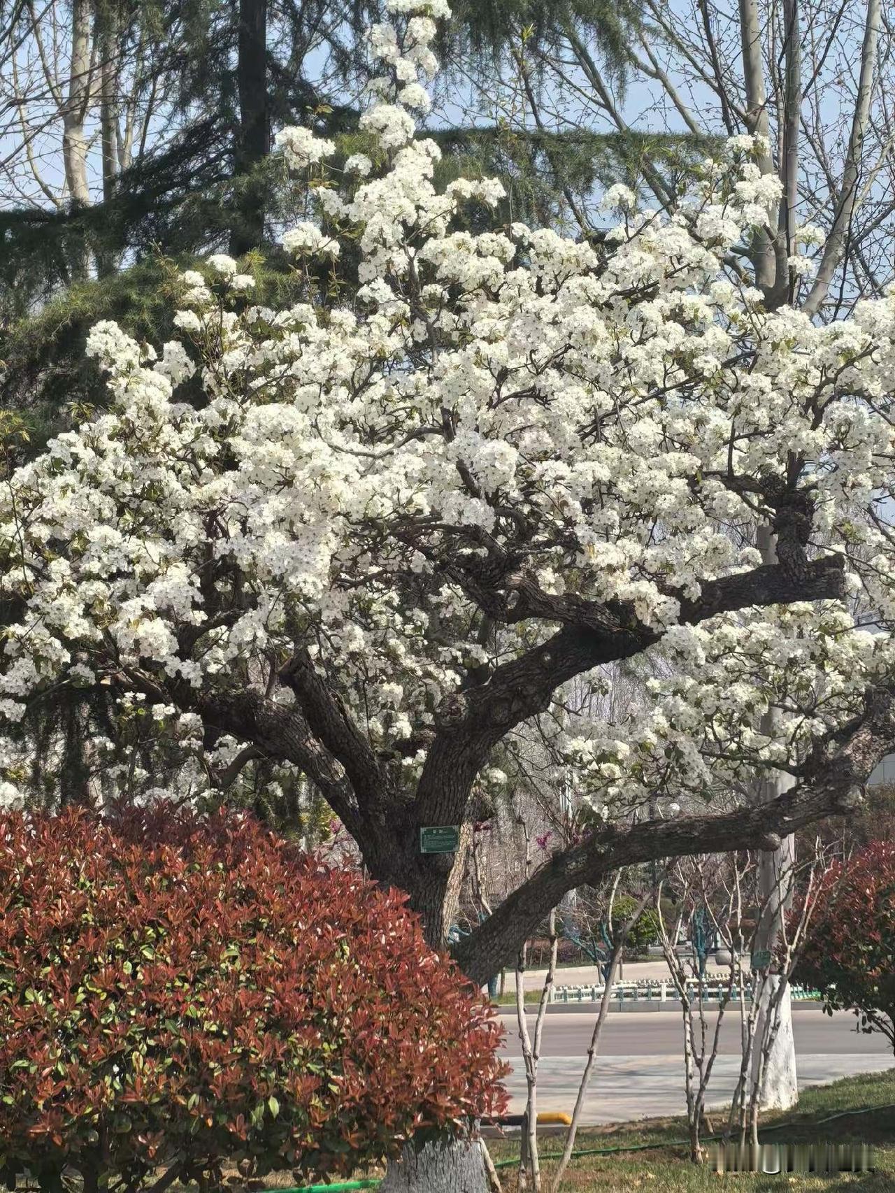 【小对联】
上：……？
下：人生观。