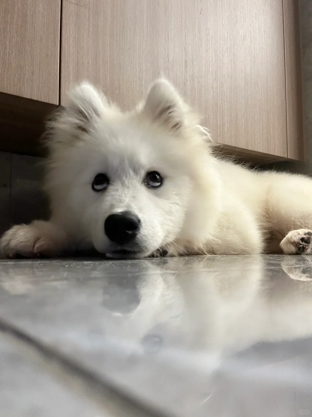 咦～又拍拍拍 拍什么呢