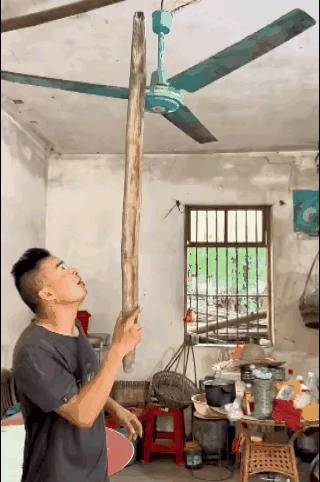 万能的条友，怎么才能停下来，给他出个主意吧～