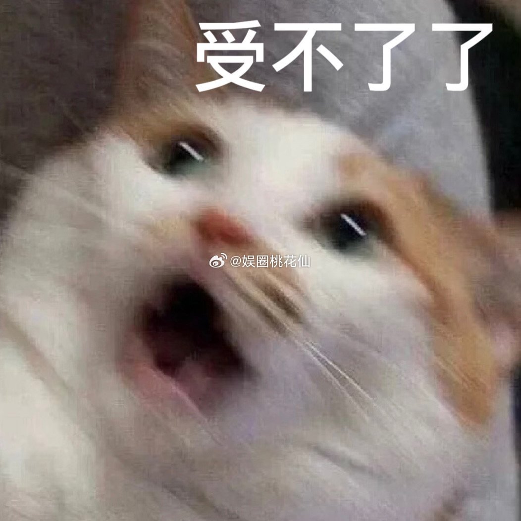 #丁禹兮到底在忙什么# 该说不说，小丁忙忙碌碌，但又不知道在忙什么样子，满满的全