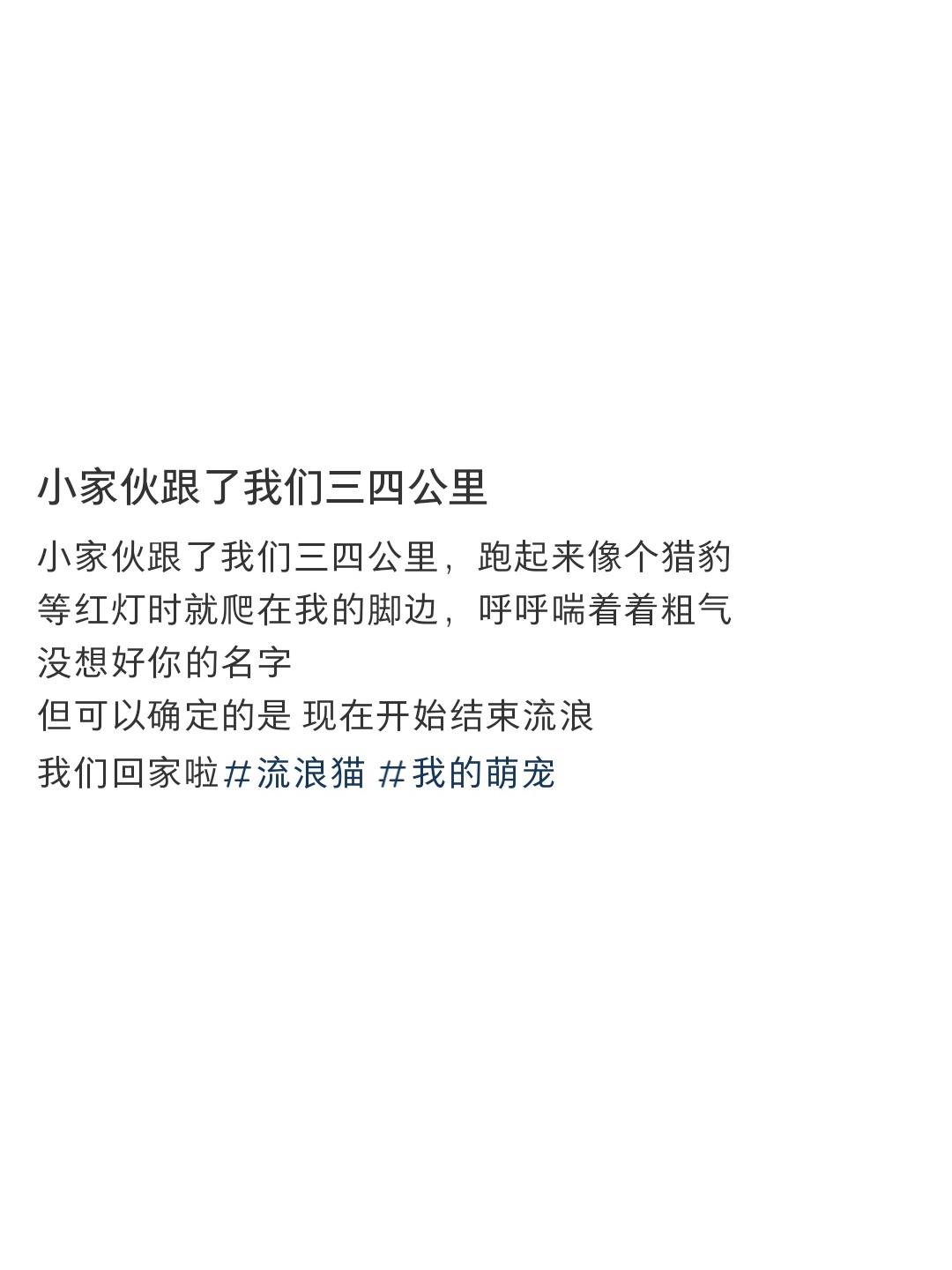猫猫带着上一世的缘分终于等到你 ​​​