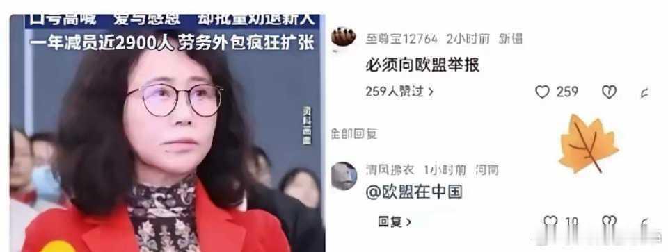 胡锡进称劳动仲裁要硬起来 老胡终于说了一句人话：面对像星宇事件，劳动仲裁机构要依