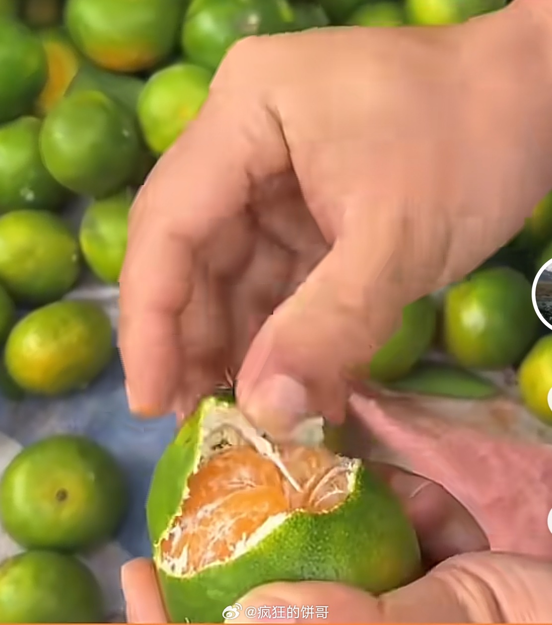 被时代淘汰的水果 我第一想到的就是这个青色绿色皮的橘子，有人记得吗？？？ 