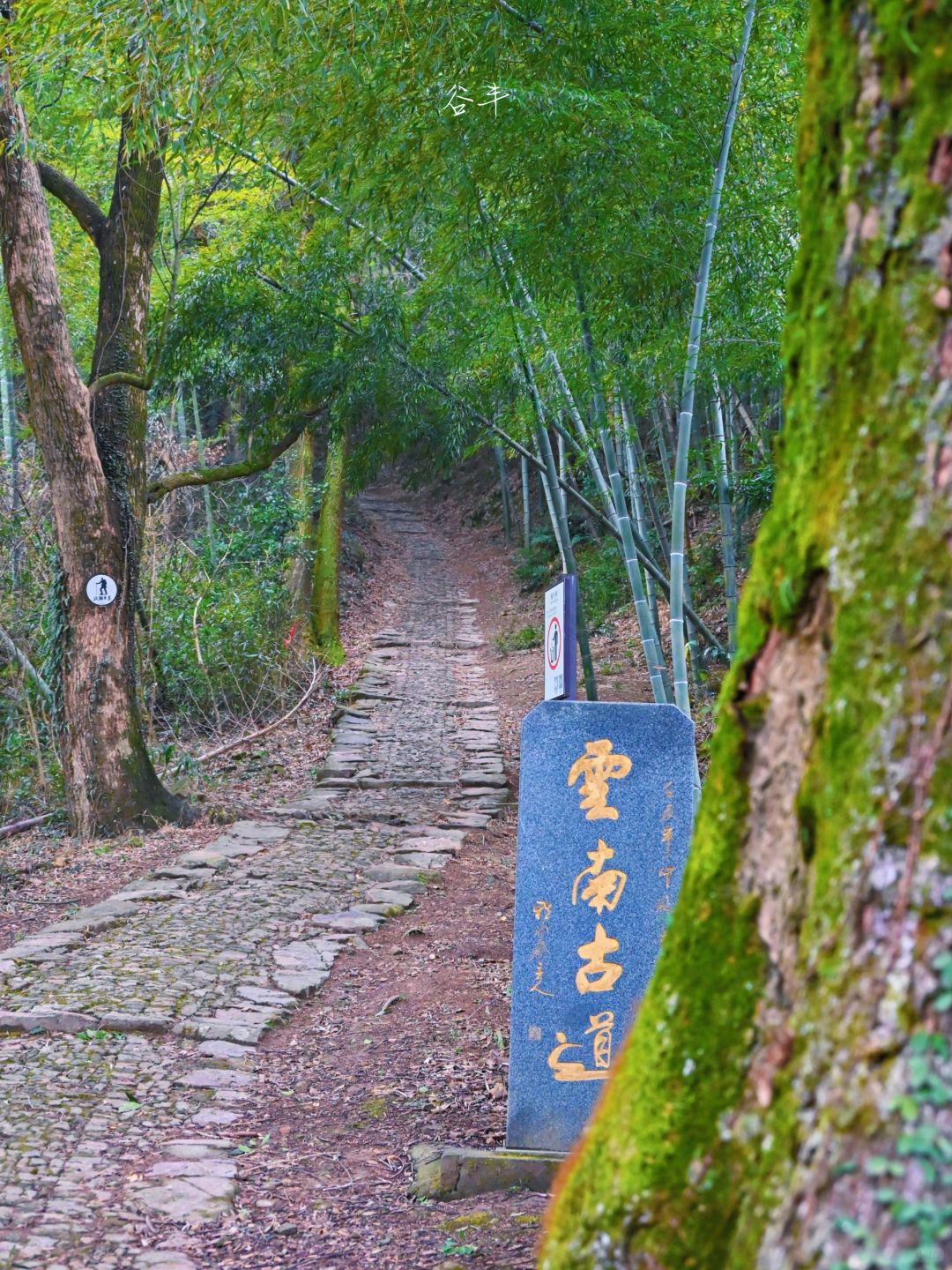 东钱湖徒步路线|藏在千年古镇里的茶马古道