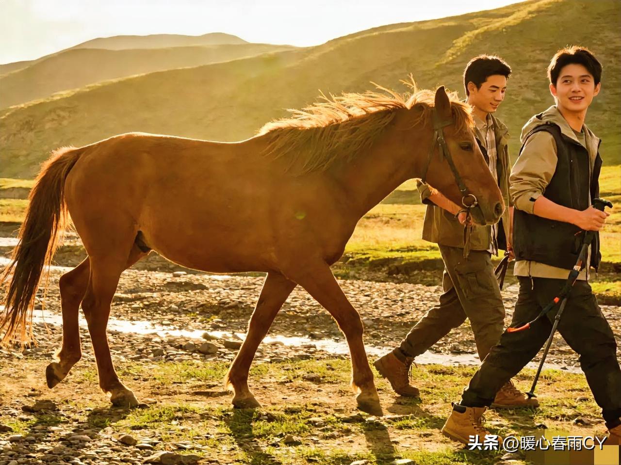 🐎马年遇自由三巨头，采用“放养式绑定”才能稳固关系！

♐射手：给予他旷野通行