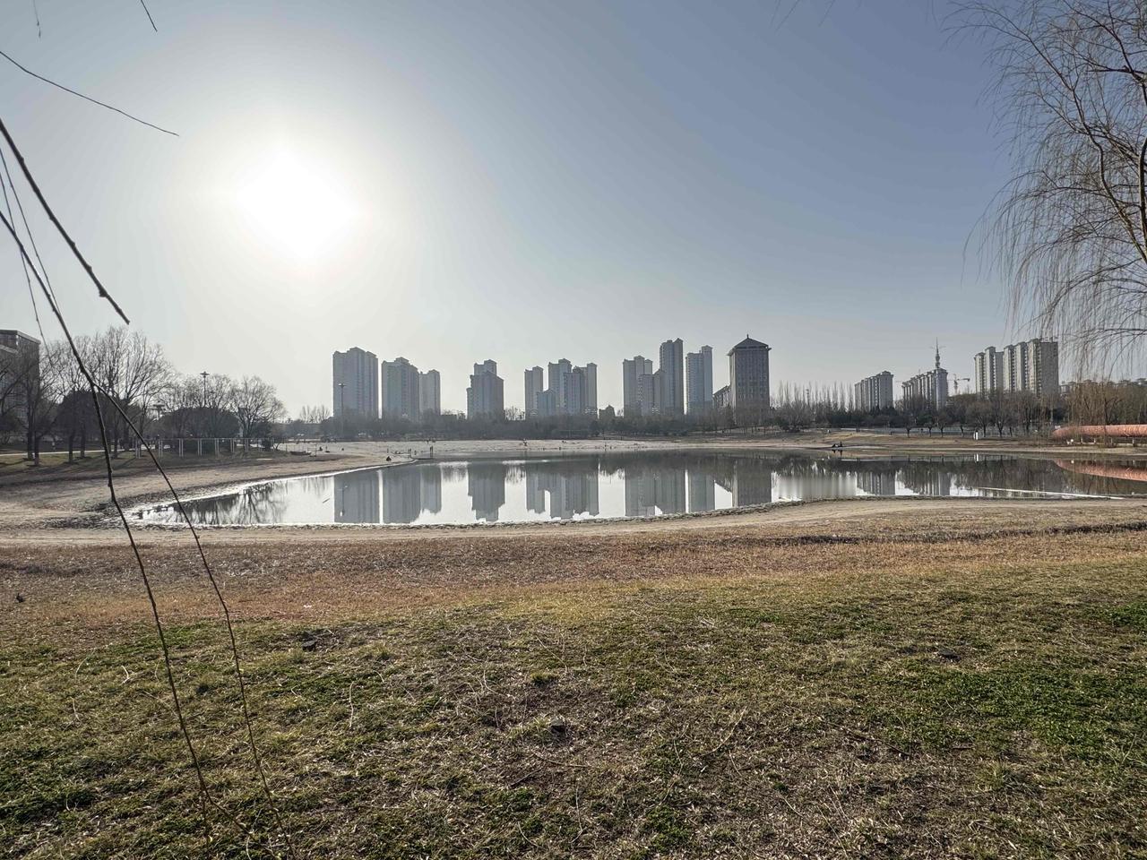 我们的南湖公园已经失去了往日的生机和活力了，水再要少就真成臭皮塘了，那么多的鸭子