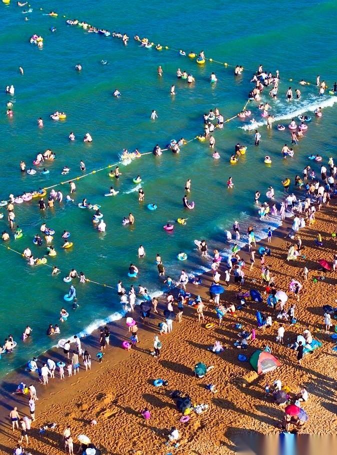 “有海蜇！”晚上7点的日照海水浴场，不知道水里谁嗷了一嗓子。
原本挤得密不透风的