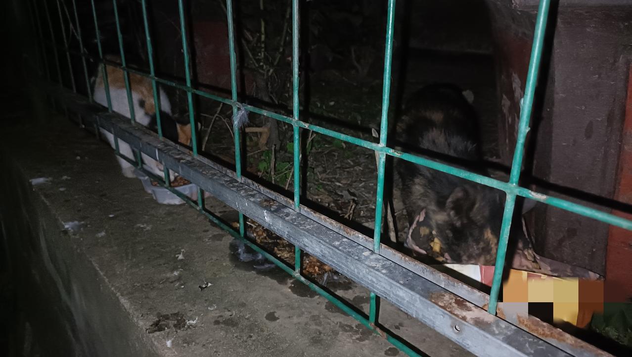 下午三点钟被蜈蚣咬伤一直到现在，右手背已经肿起来了，疼痛感没有减轻。医生的治疗措