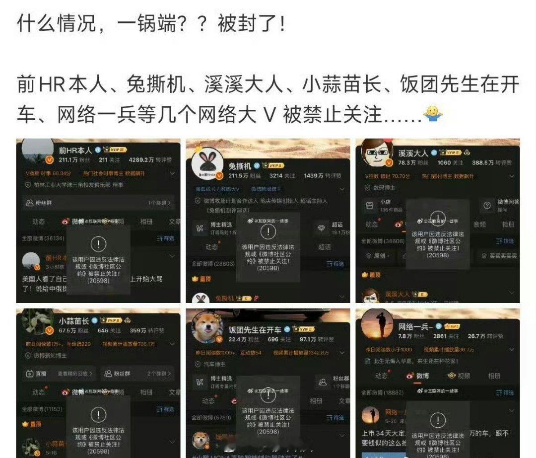 一次性封了6个大V，应该是上面不允许任何人破坏国产新能源的环境，还是严谨慎行才是