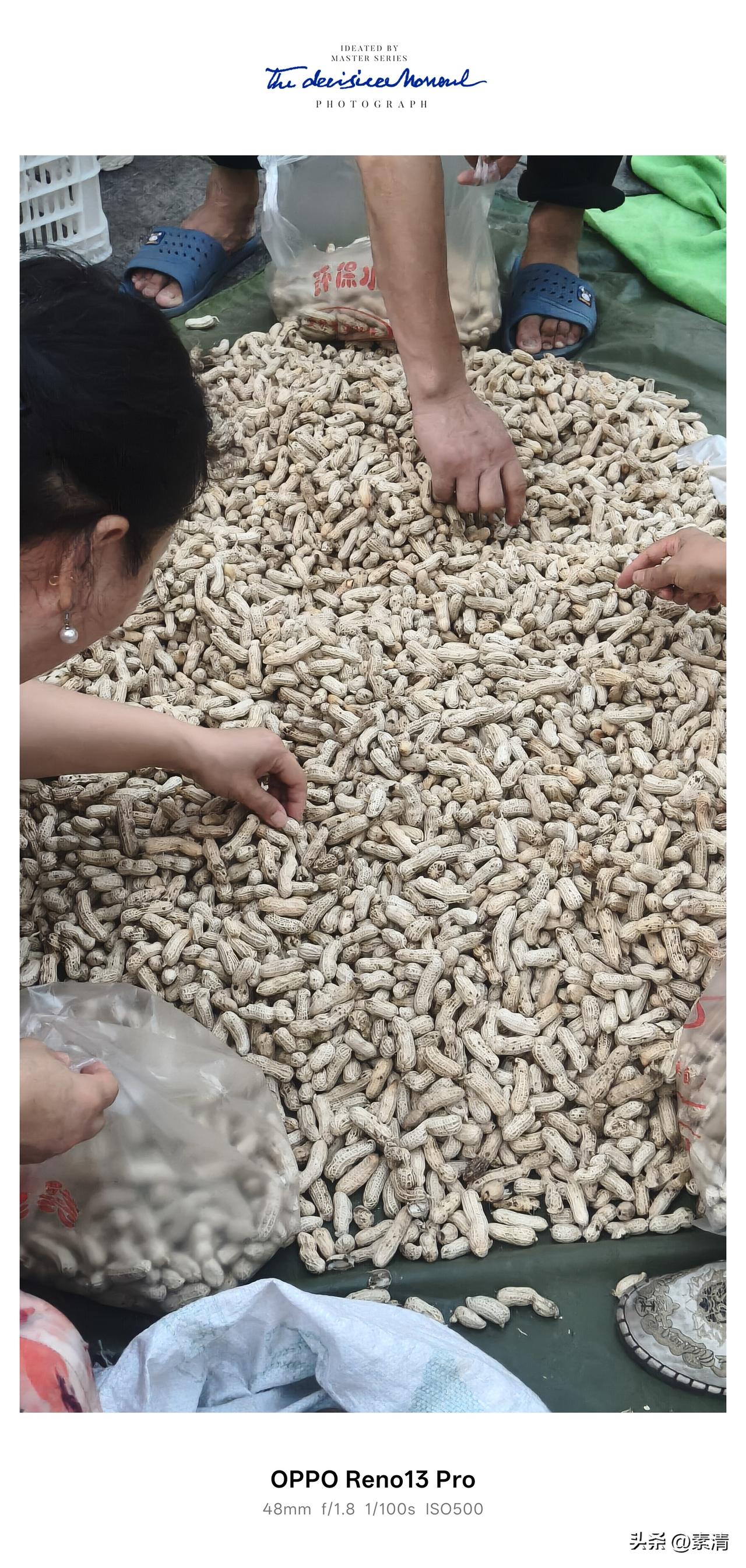 集市上大家扎堆挑花生，原来里面大有讲究。[大笑]
 
路过街边集市，被满满一大摊
