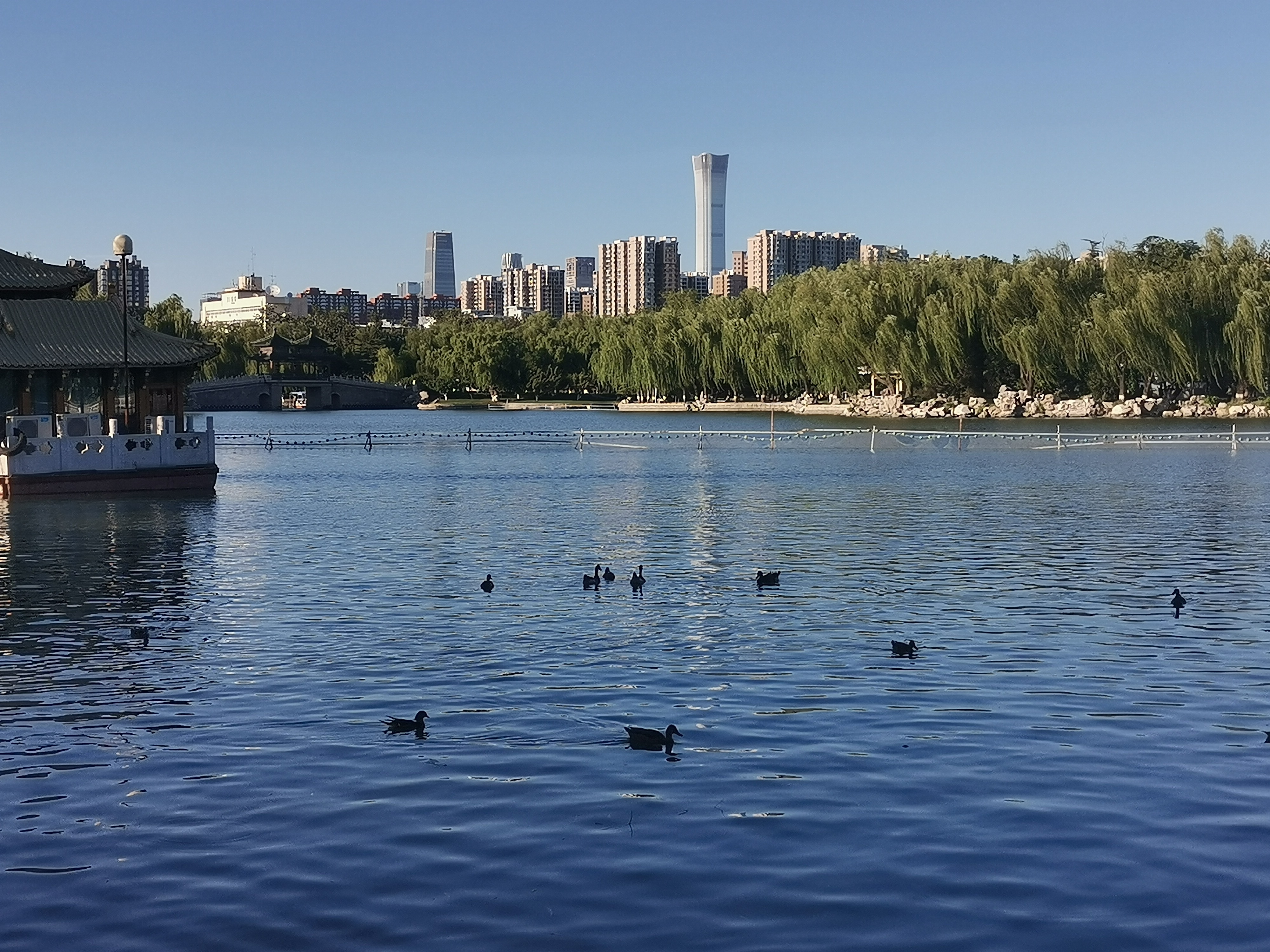 生活手记  生命的天空里，有风和日丽，亦有云遮雾障。不是每轮艳阳都暖人，不是每片