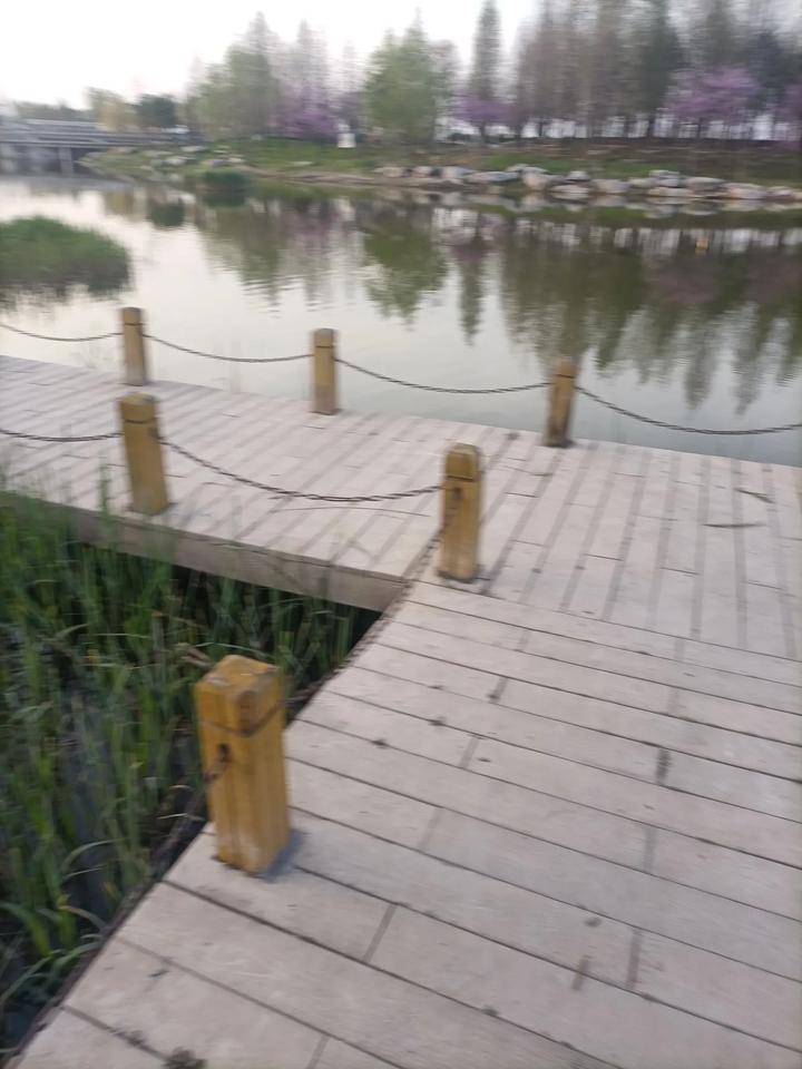 戒网日记：从屏幕到晨光
 我曾是凌晨三点的常客，键盘蓝光滤淡现实，母亲的关心也隔