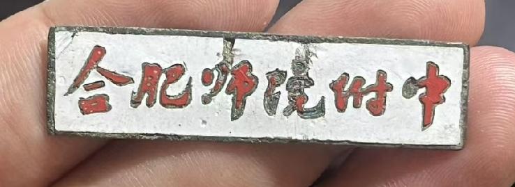 《合肥师院附中》校徽